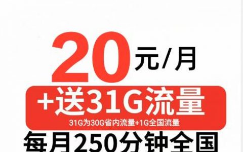 【山东联通】滨州联通20月租包31G通用流量250分钟通话