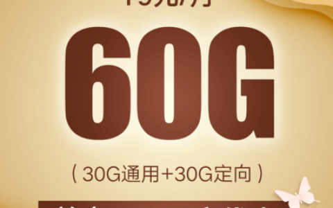 中国联通新王卡铂金版（19元月租+30G通用流量+30G定向流量）