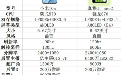 真我gtneo2和小米10s哪个好，参数对比