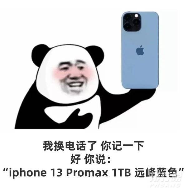 iphone13promax1tb远峰蓝色价格_什么梗