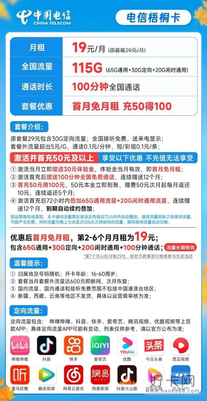 电信梧桐卡 19元115G全国高速流量+100分钟通话-2