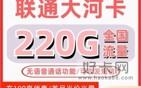 联通大河卡 39元220G全国通用流量，无语音功能