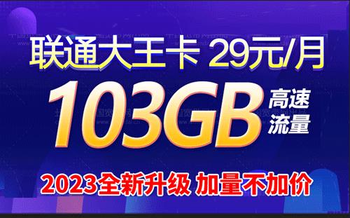 联通雪花卡月租29元/月，套餐优惠期两年