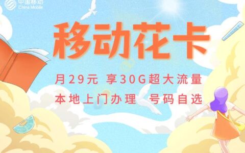 2023年最新移动花卡宝藏版29元套餐介绍