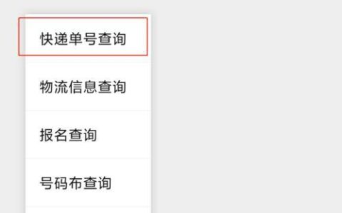 输入手机号查询快递