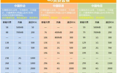 29元移动套餐介绍：性价比之选