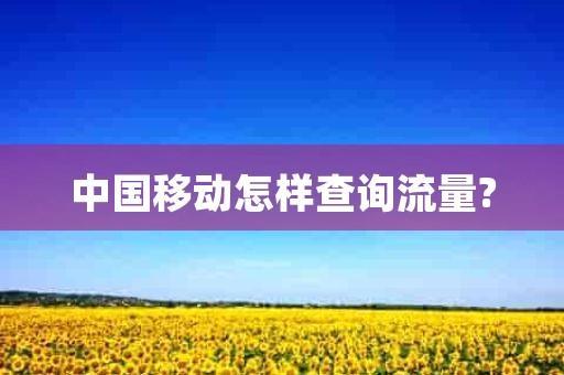 中国移动查流量，四种方法任你选