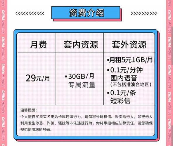 电信梅花卡：专属外籍人才的“金卡”，享多重权益，助力融入中国