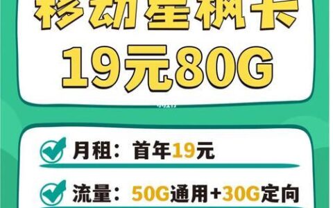 移动19元80g流量卡：性价比之王